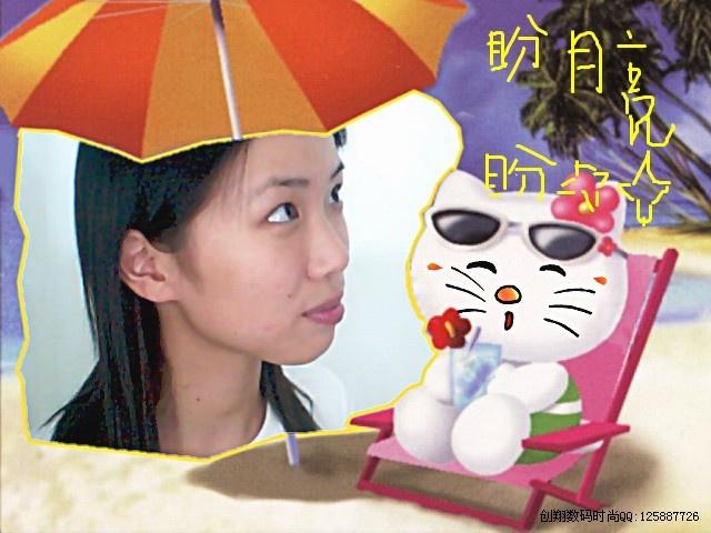 盼望貓咪