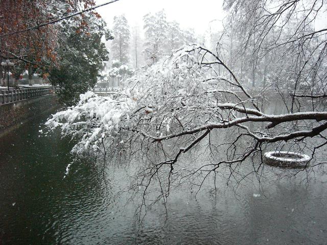 鑒湖雪景