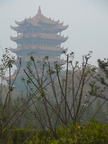 樓