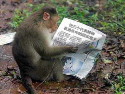 峨嵋山上發(fā)現(xiàn)驚人一幕