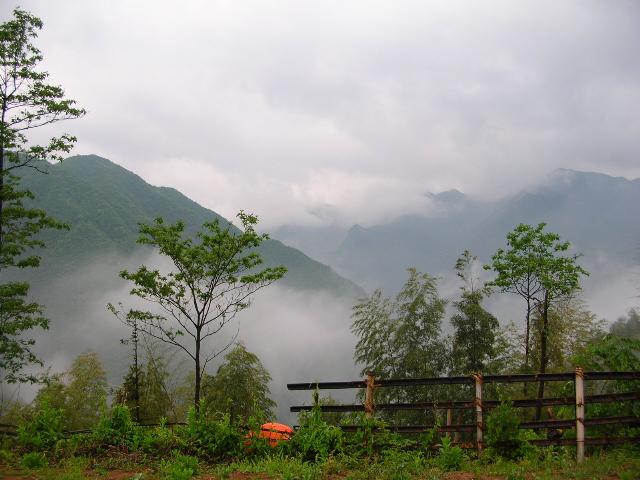 霧氣蒙蒙