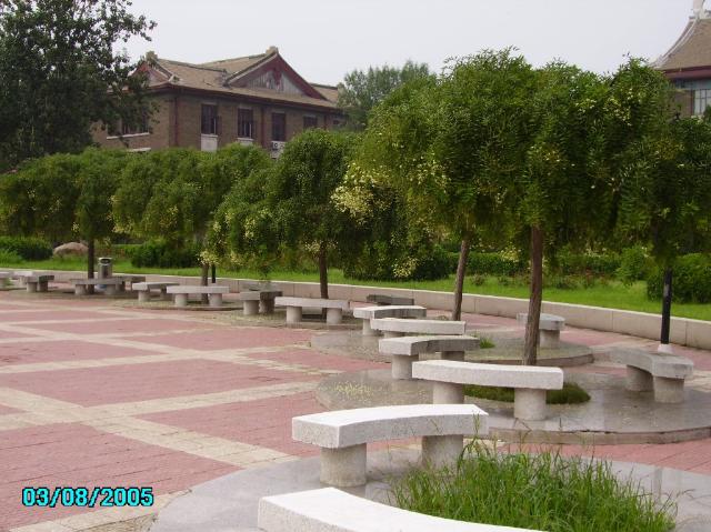 天津大學(xué)－北洋廣場(chǎng)一角
