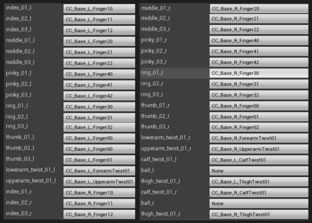 iclone_ue4_skeleton_map_advance