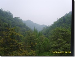 showimg(42)