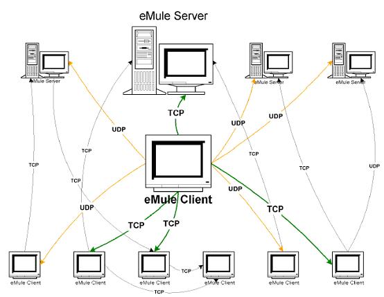 emulenetworkmap.JPG