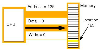 Write.JPG