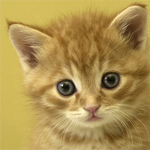 cocochina icon